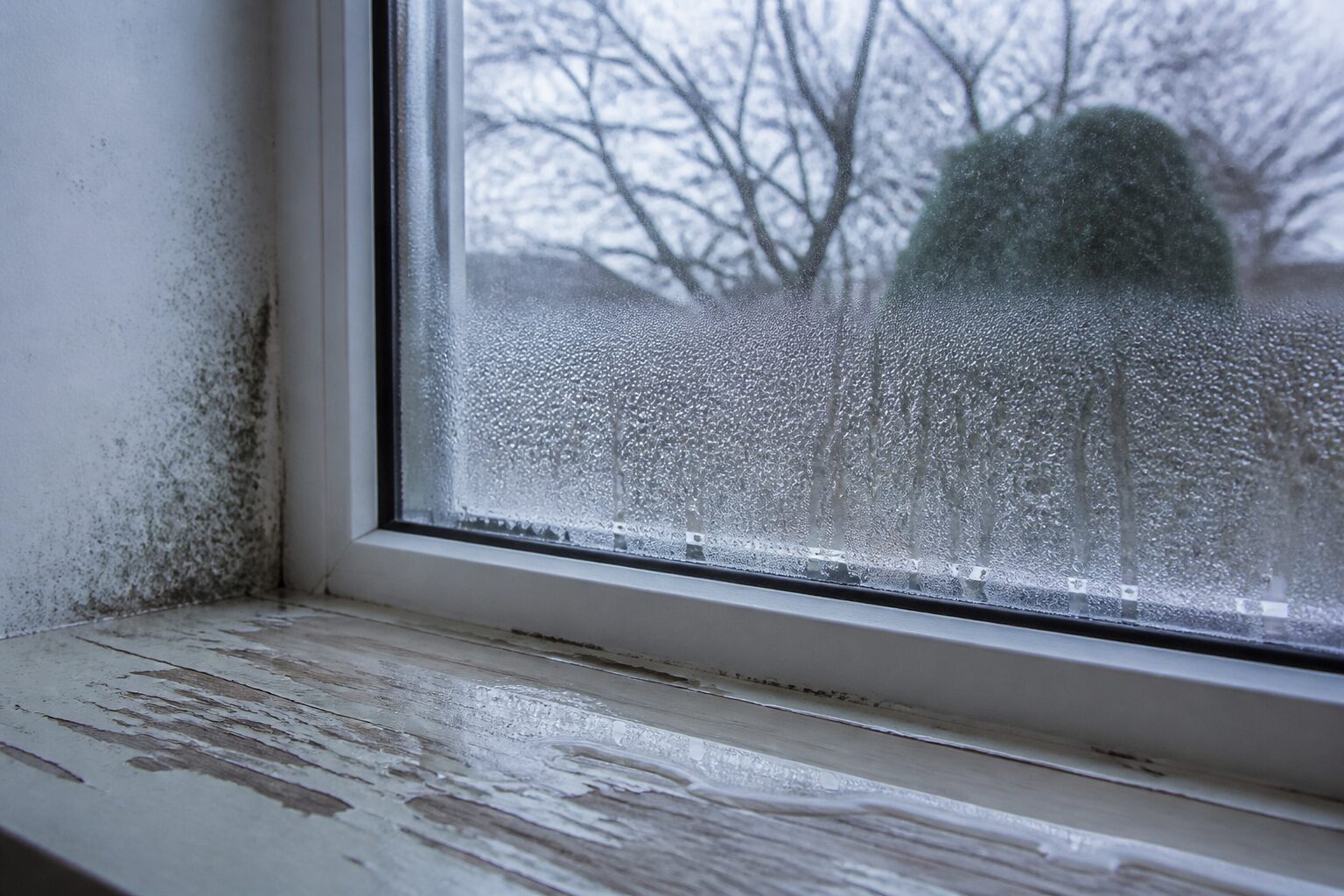 Fensterinnenseite mit Kondensat auf der Scheibe, Wasser im Falz und auf der Fensterbank, in der Laibungsecke beginnender Schimmel