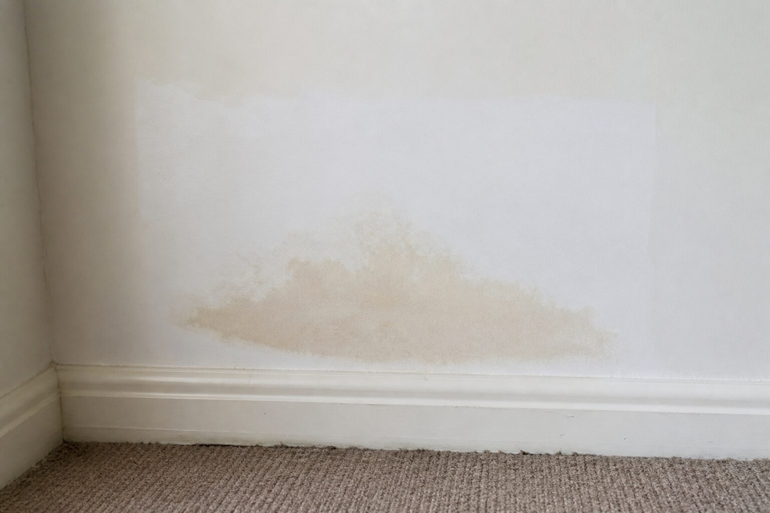 Frisch weiß gestrichene Wand, durch die ein bräunlicher Feuchtefleck über der Sockelleiste wieder durchschlägt