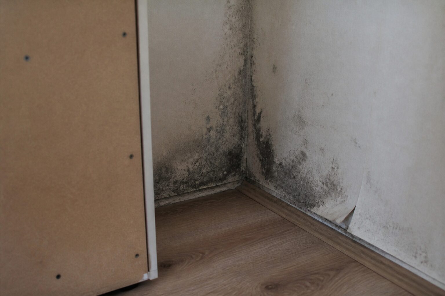 Von der Außenwand abgerückter Schrank, dahinter dunkler Schimmel in der Wandecke und entlang des Bodenanschlusses, Tapetenrand löst sich